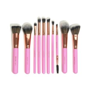 KIT DE BROCHAS SINGOLARE MONTOC X 10UND REF LP635