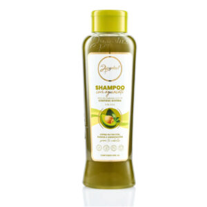 SHAMPOO ANYELUZ CON AGUACATE *500ML